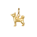 Shiba