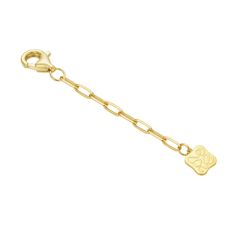Paper Clip Chain Extender